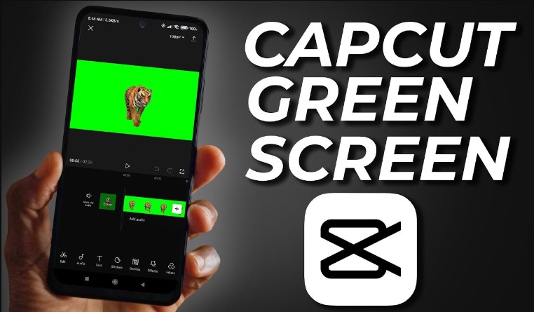 Capcut Green Screen